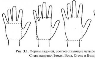 À propos de quoi noter la forme des doigts