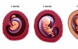 Çfarë duhet të dini për tremujorin e parë të shtatzënisë: simptomat e rritjes së tonit të mitrës, rekomandimet dhe llogaritjet