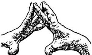 Мудрі йога для пальців техніка виконання